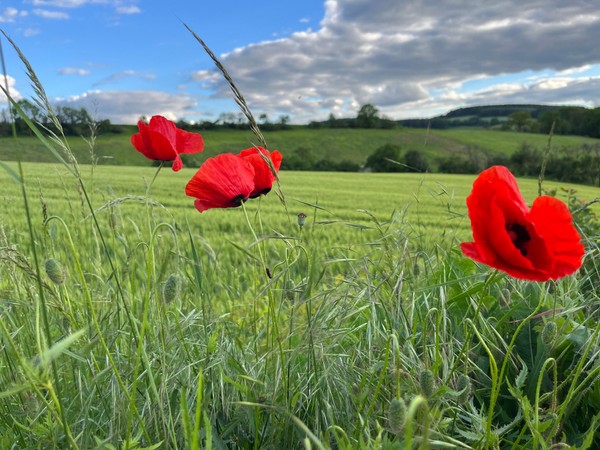 FeWo Steineck  bild 3