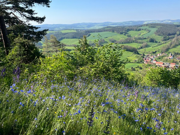 FeWo Steineck  bild 2